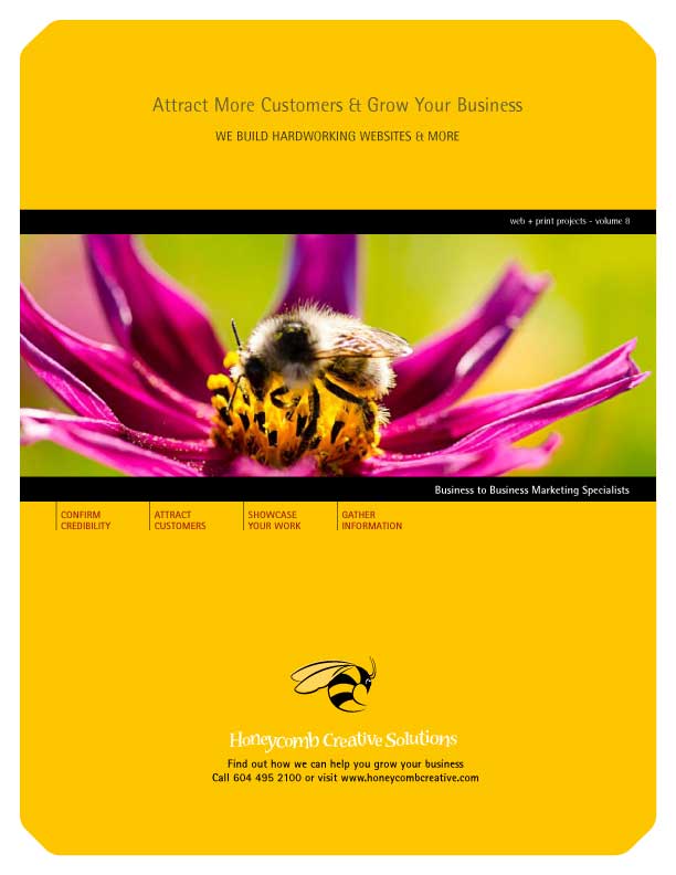 Web & Print Projects - Volume 8