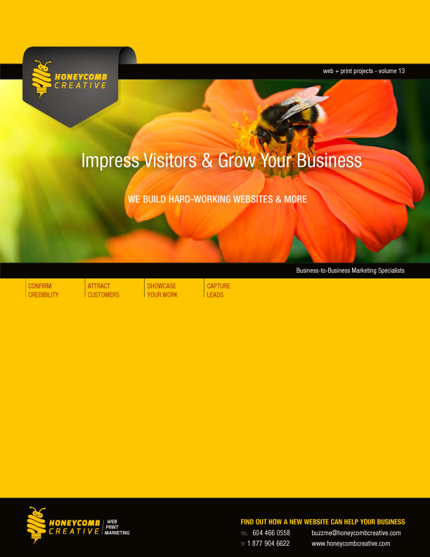 Web & Print Projects - Volume 13