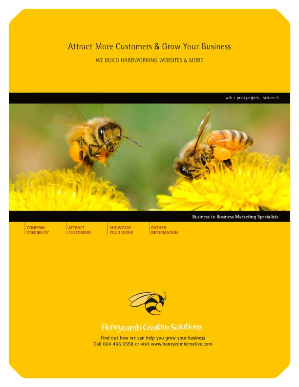 Web & Print Projects - Volume 9