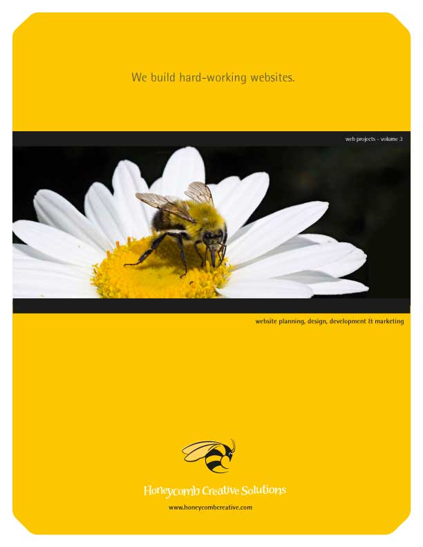 Web Projects - Volume 3