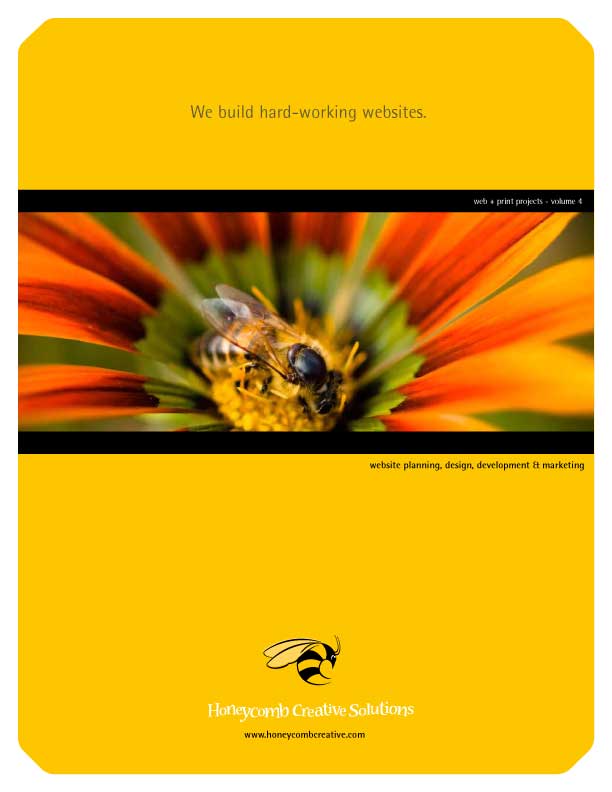 Web & Print Projects - Volume 4