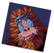 Infowave Software Ltd.