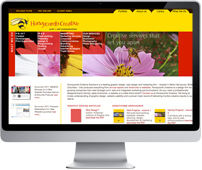 Honeycomb Creative Solutions