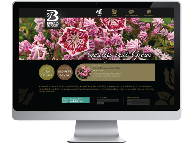 Briggs Nursery Inc. - Web Development