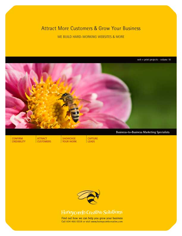 Web & Print Projects - Volume 10