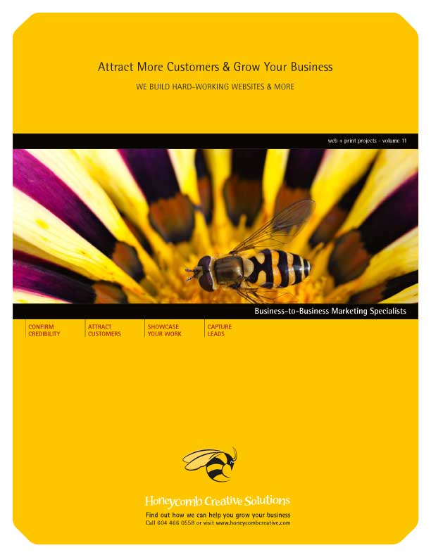 Web & Print Projects - Volume 11