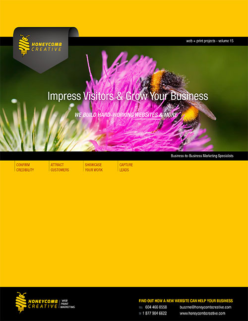 Web & Print Projects - Volume 15